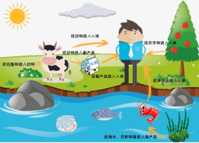 食品中也有放射性？